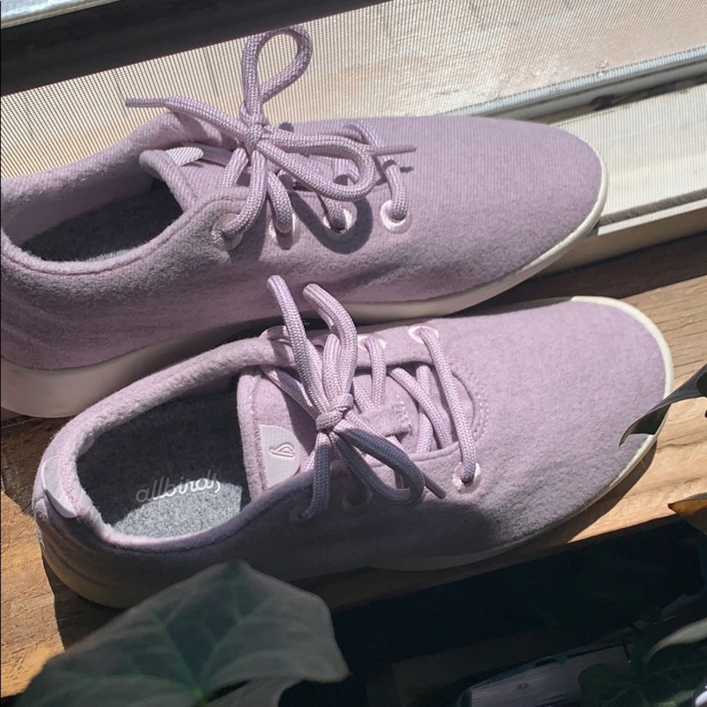 Allbirds wool runners
